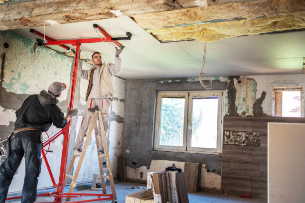 Best Professional Insulation Contractor  in Gardner, IL